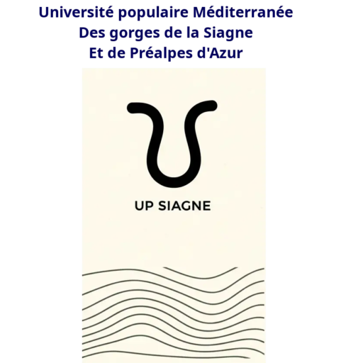 cropped-essai-logo.webp essai-logo